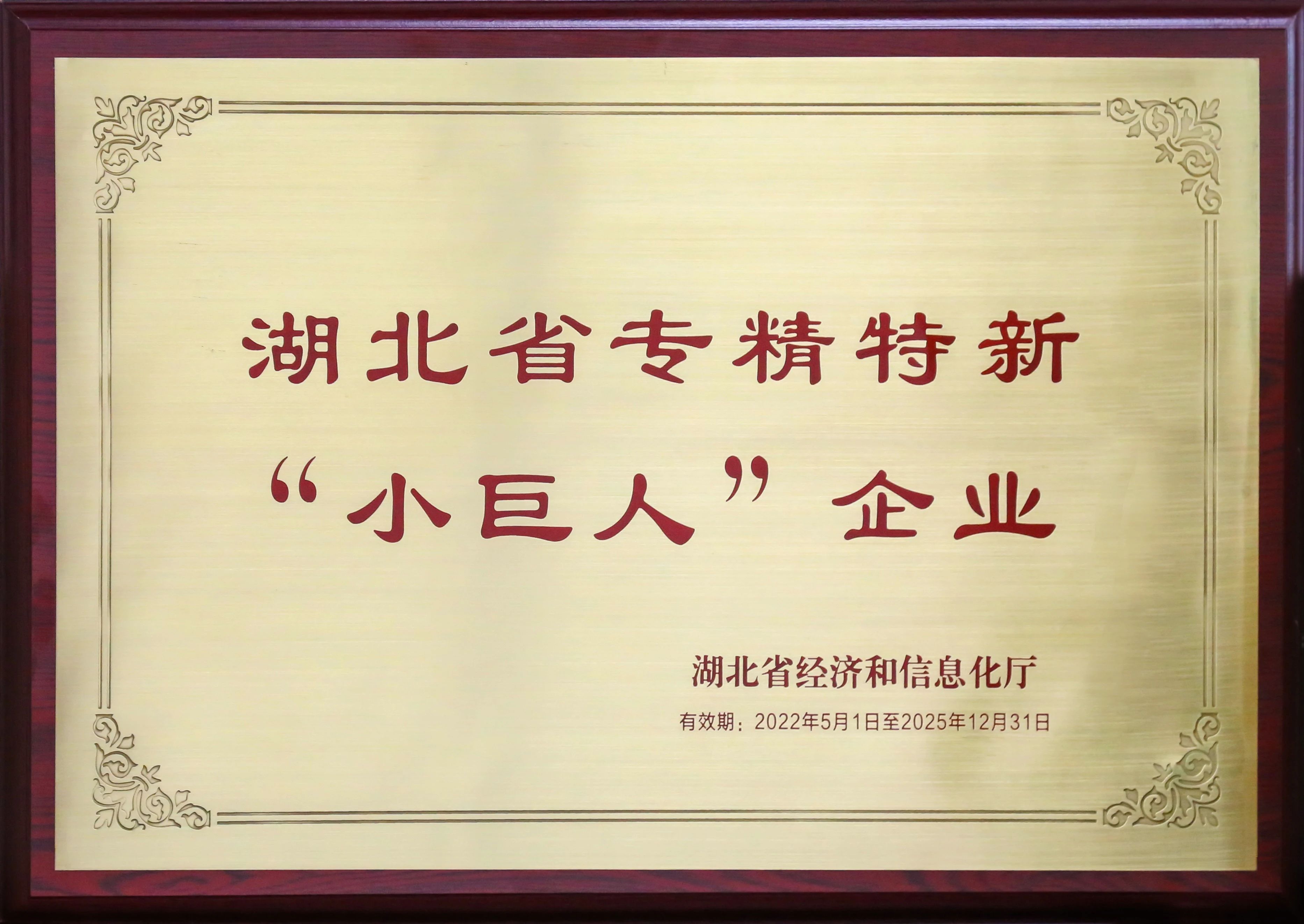 盘点新疆26省联盟集采，湖北918博天堂拟中。ǜ究疲┢分质棵邪袷